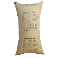 dunnage airbag